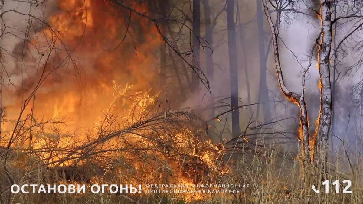 Сухо. Ветрено. Опасно