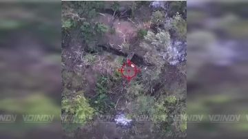 ���� ��������� ���������� �� ���������� �������� � ����������� �������
