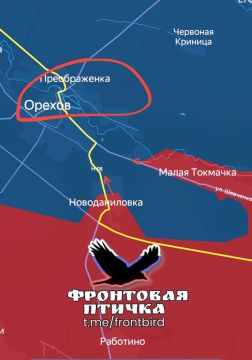 «Фронтовая птичка» об обстановке у Орехова на Запорожском направлении
