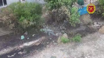 ��������� ���� 49 ������������� ����� ������� ����� �� �������