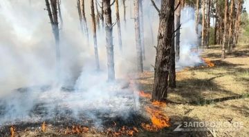 � ����������� ������� 22�23 ������� ��������� ������������ ���������������