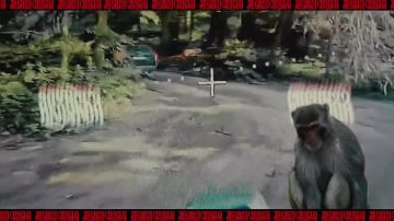 ���������� �� ����������� �����������