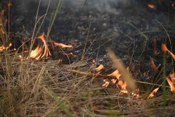 � ����������� ������� �������� ��������� �������������� ��-�� ���������������