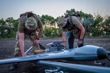 ���������� ����������� ������� ��������: ��� ������� ���� �������������� �� ����������
