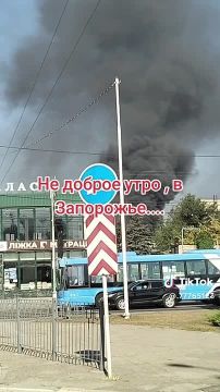 � ���� ��������? ��� � ���������?