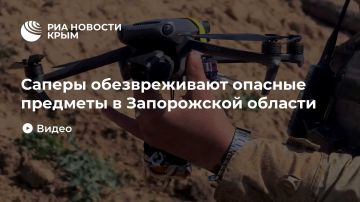 Саперы обезвреживают опасные предметы в Запорожской области