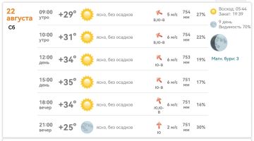 ������ ����. � ���������� ������� +35�C ����, ����, ��� �������