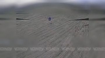 ������������� ����������� ����� "������" ���������� ��������� �� ��������� ���� �� ����������� �����������