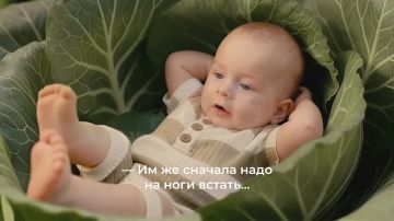 ������������ ������ �������: ��������� ��� ������ �����
