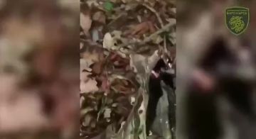 ��� ������� ����� ����� �������� �� ��������
