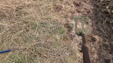 �� ������ �������� �������������� �� ����������� ����������� ������� ���