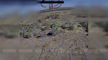 �� ���������.... ��������� ���� 1198 ��������������� ����� 35 ����������� ������������� ����� ������� � ���������� ����� ���������� ���� ��� �� ����������� �����������