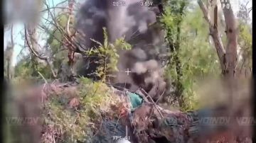 �� ��������.... �����-����������������