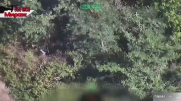 �������� �����: ��������� 29 ����� ������� ����� �� ����� ���� ��� � ����������� �������