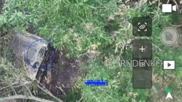 ������ �������: ������� ��������������� ������ �����-�� ����������� ������� ���������� ���� ������� ��� � ����������� �������