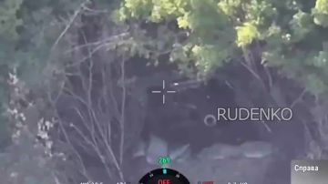 ������ �������: � ����������� ������� � ���� ��������������� ������ ��������� ���� ����������� ������� ������� ������� ������� ���������� ���