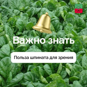 ������ � ������ ���� �� ���������
