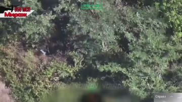 ��������� 29 ����� ������� ����� �� ����� ���� ��� � ����������� �������