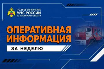 Оперативная информация за неделю в Запорожской области