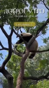 �������������� ��. ����� ����������