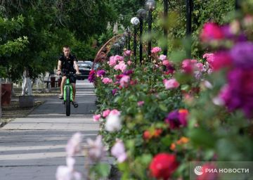 Погода на новых территориях России