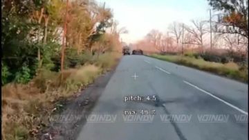 ��������� 14 ��������� ������� �������� ����������� ����� "������" ���������� ������������� ������� ��� �� ����������� �����������