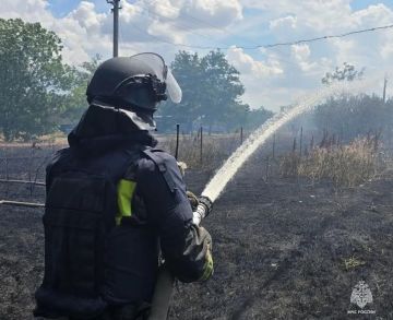 Оперативная обстановка за 25 августа на территории Запорожской области