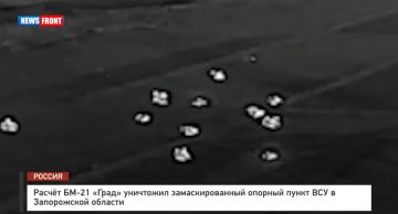 Расчет БМ-21 «Град» уничтожил замаскированный опорный пункт ВСУ в Запорожской области
