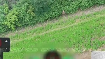 Гвардейцы 37 отдельной мотострелковой бригады 36 армии группировки войск "Восток" ликвидировали малые группы противника на Запорожском направлении