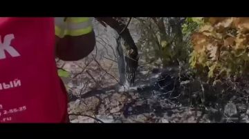 �������� � ���� ��� ������ � ����� ���� ����� � ������������ ������