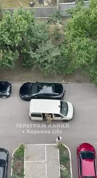 � �������� ���������� ��� ������ ������� ����� ����, ��� �� ��������� ���������� ���������
