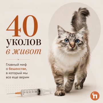 40 уколов в живот после укуса? Нет — этот страшный сценарий давно пора забыть