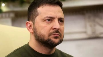 Захарова: Зеленский ведет себя безрассудно и провоцирует ядерную катастрофу в ЕС