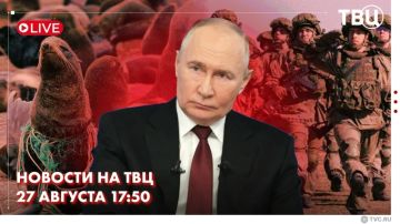 �������� ����� ���������� � ������������� ������������ ������-�������������� ��������� ��������� ����������