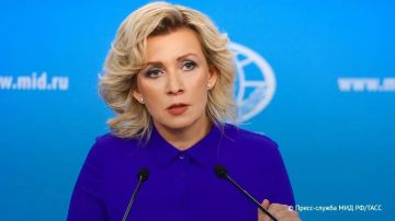 Зеленский ведет себя безрассудно и провоцирует ядерную катастрофу в Европе