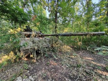 Близится кульминация: ДНР можно готовиться к полному освобождению