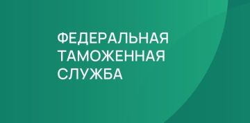 Федеральная таможенная служба: подать декларацию можно через мобильное приложение