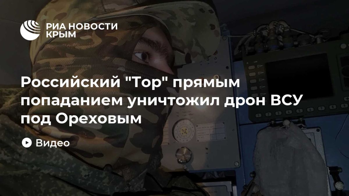 Российский "Тор" прямым попаданием уничтожил дрон ВСУ под Ореховым