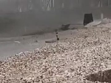 ������� �������: ������ ����������� �� ����� ��������� ���� �������� ����� ���