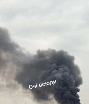 ����� ����� ����� ���������
