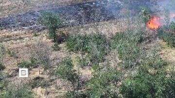 Накануне российские войска освободили населенный пункт Шевченковское в Запорожской области