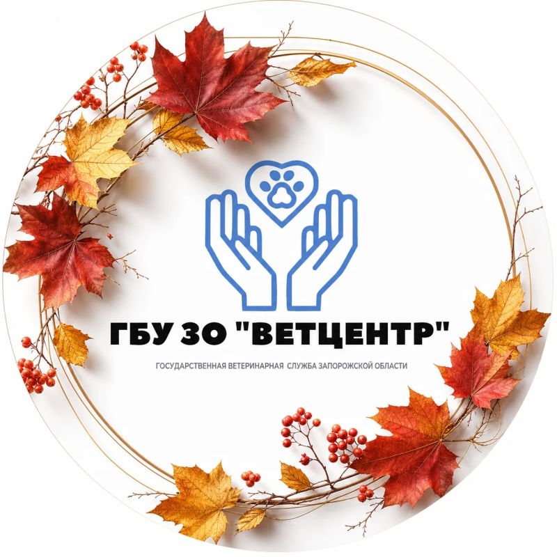 Подходит к концу тёплое лето, осень всё ближе, и особенно это чувствуется в последние дни