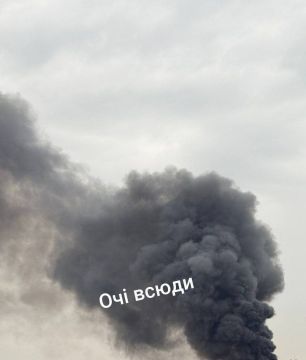 ����� ����� ����� ���������