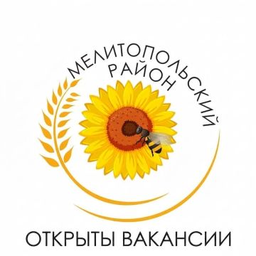 В администрации Мелитопольского муниципального округа открыты вакансии: