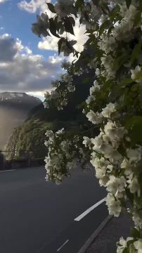 �������������� ��. ����� ����������
