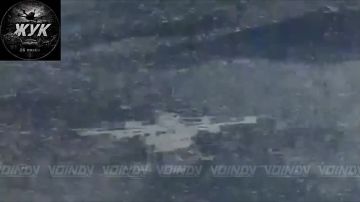 ��������� ���� 26 ������������ ����� ���� 36 ����� ����������� ����� ������� ���������� ������������ ���������� �� ����������� �����������