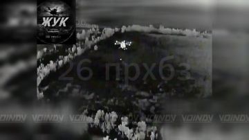 ��������� ���� 26 ������������ ����� ���� 36 ����� ����������� ����� ������� ���������� �������� ���� ������������ ����������� �� ����������� ��������� �������������