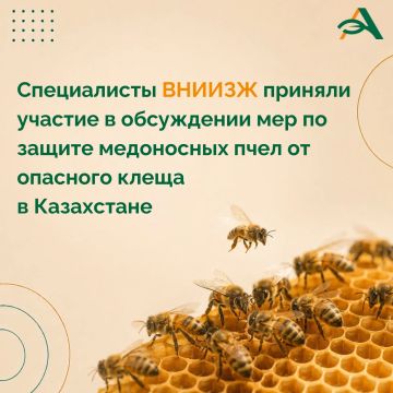 ����������� ������ �������� � ���������� ���� ������ � ������� ������ ���������� ����