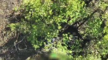 ��������� ���� 55 ����������� ������� ������� ������ � ������� ����������� ����� "������" ������� � ���������� ����� ���� ���������� �� ����������� �����������