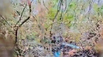 ��������� ���� 5 ��������� �������� ������� 36 ����� ����������� ����� ������� ���������� �������-������������� ����������, ����� ��� ����� �� ����������� �����������